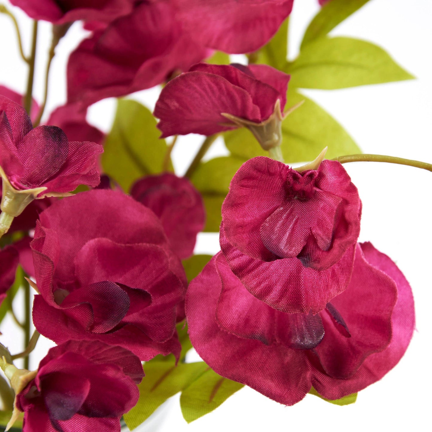 Sweet Pea in Bud Vase/Faux Water