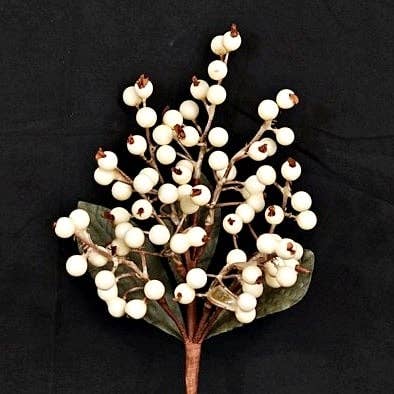 15" PYCANTHUS BERRY CREAM