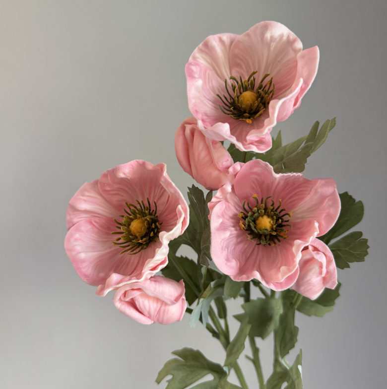 20'' Soft Touch Anemone
