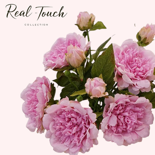 25.5" Real Touch Peony Stem