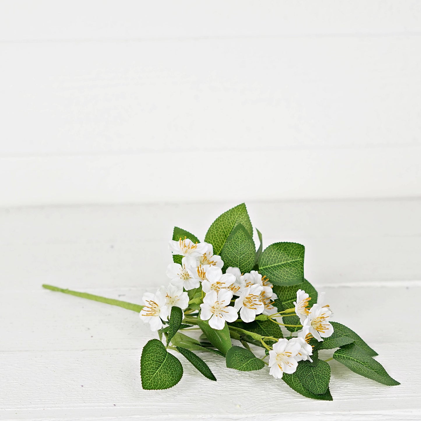 16” White Wild Rose & Foliage Stem