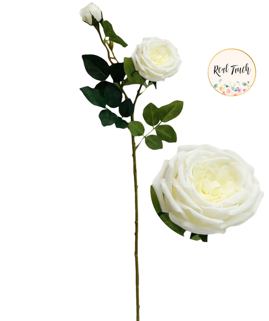 26.5" Real Touch Cabbage Rose - Ivory