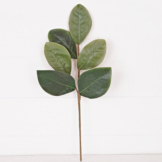 Sweetbay Magnolia Leaves Pick