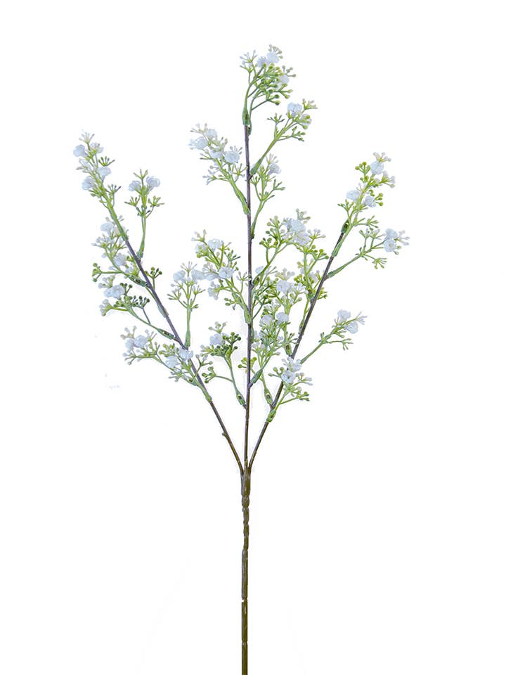 25" Wild Baby's Breath Stem
