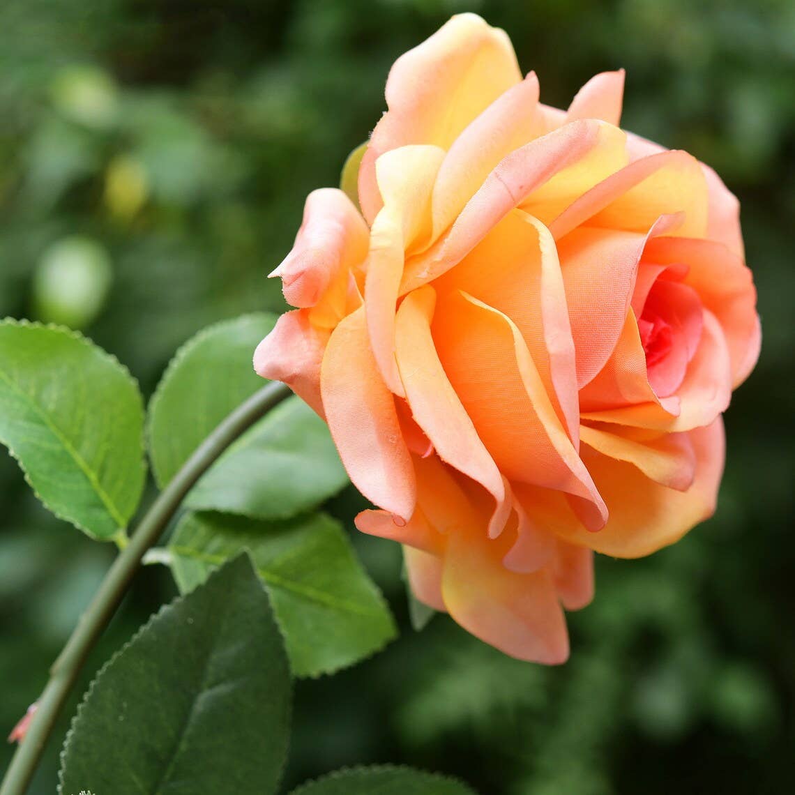 29" Real Touch Rose: Pale Pink
