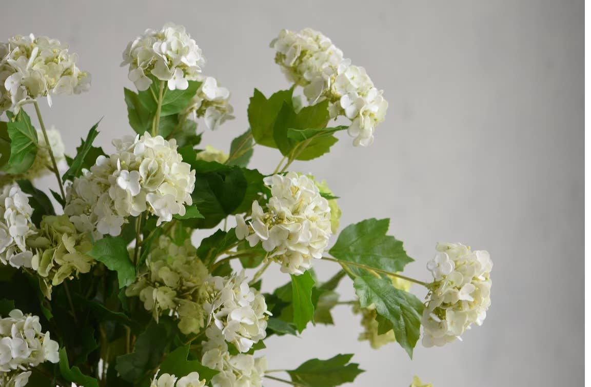 Premium Snowball Hydrangea Stem - Pale Green