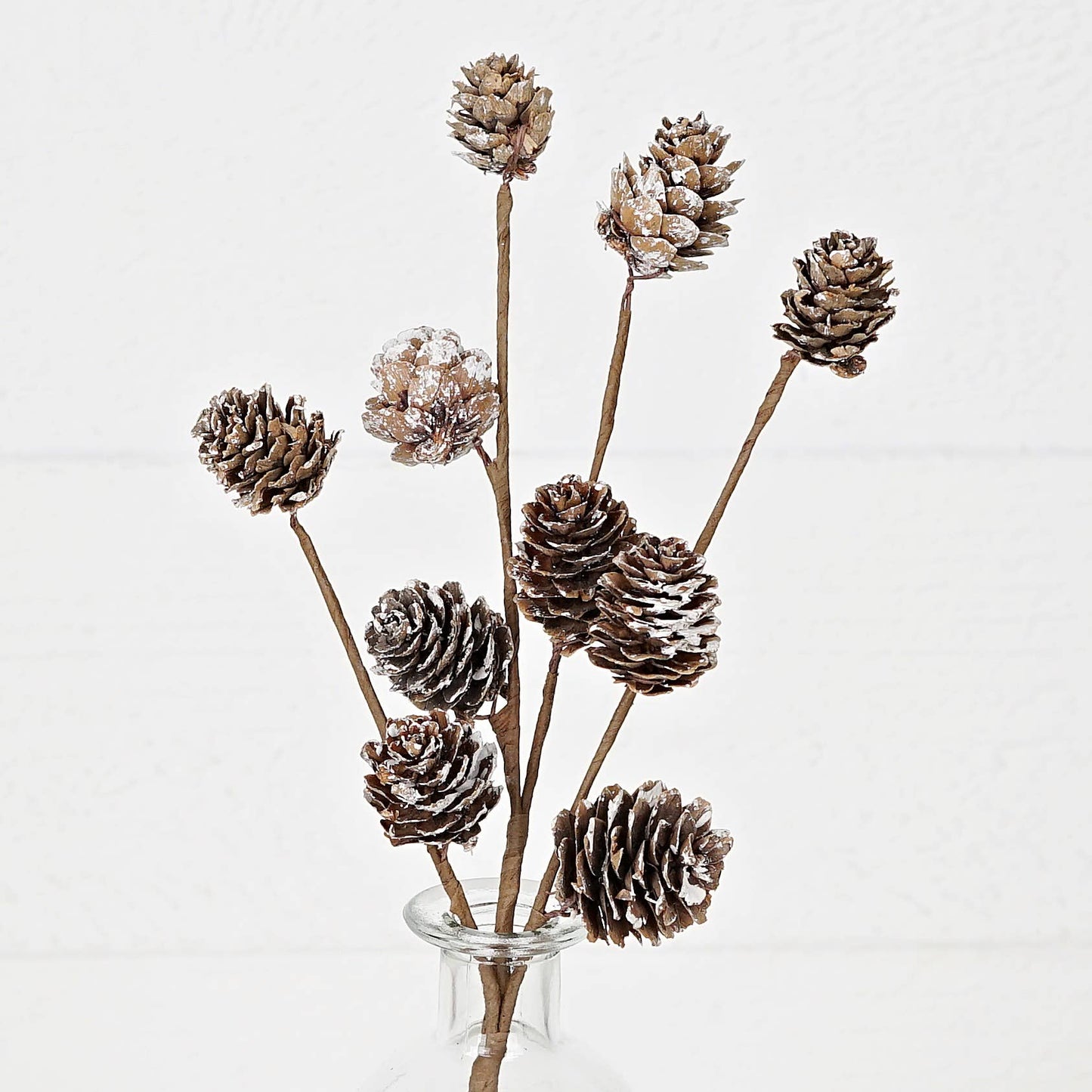 12" Pick-Snowy Birch Pine Cones