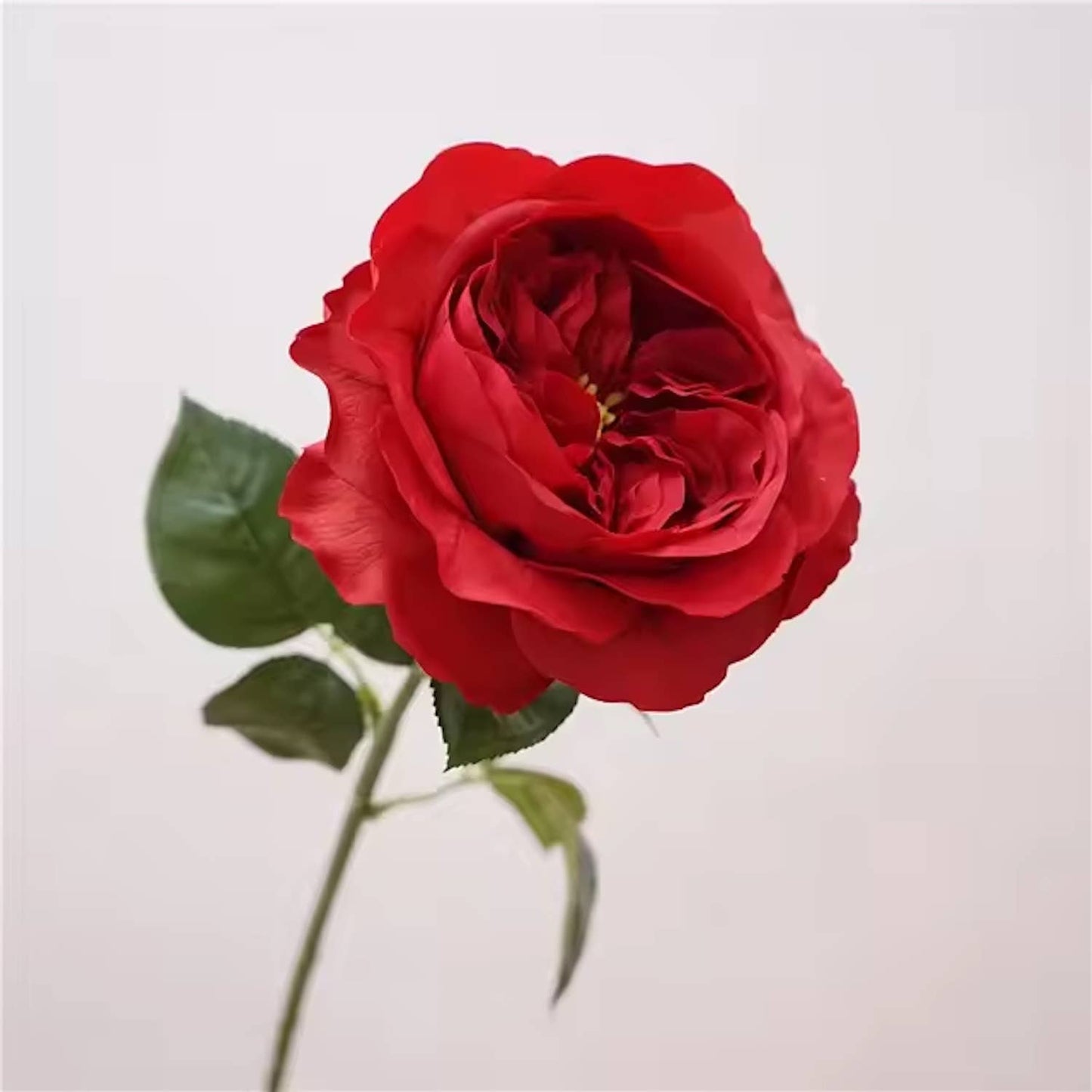 18" Real Touch Juliet Garden Rose