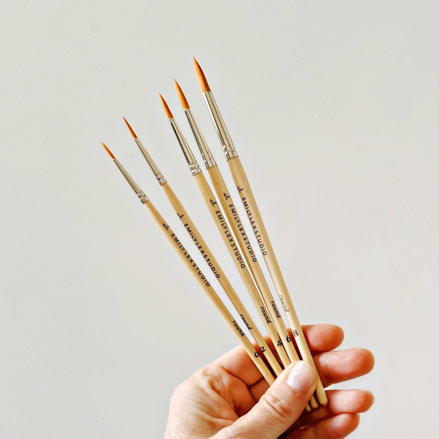 Watercolor Paintbrush Set/5