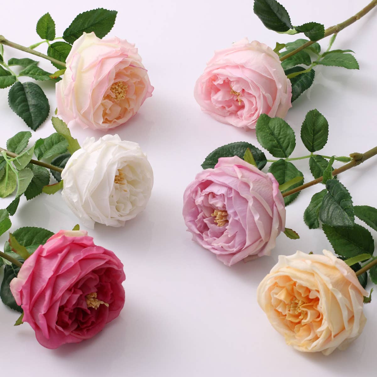 17" Real Touch English Austin Cabbage Rose: White