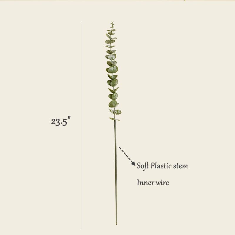 Grey Green Eucalyptus Stem