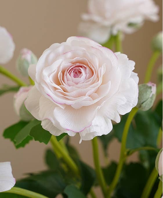 18"-Real Touch Ranunculus w/ buds: White