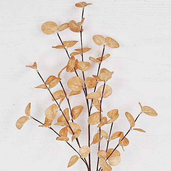 23" Silver Dollar Leaves-Beige