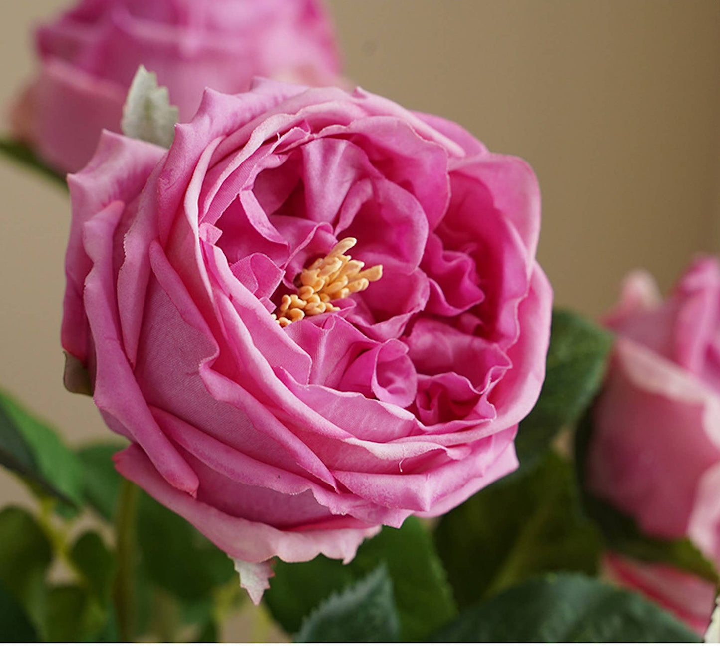17" Real Touch English Austin Cabbage Rose: White