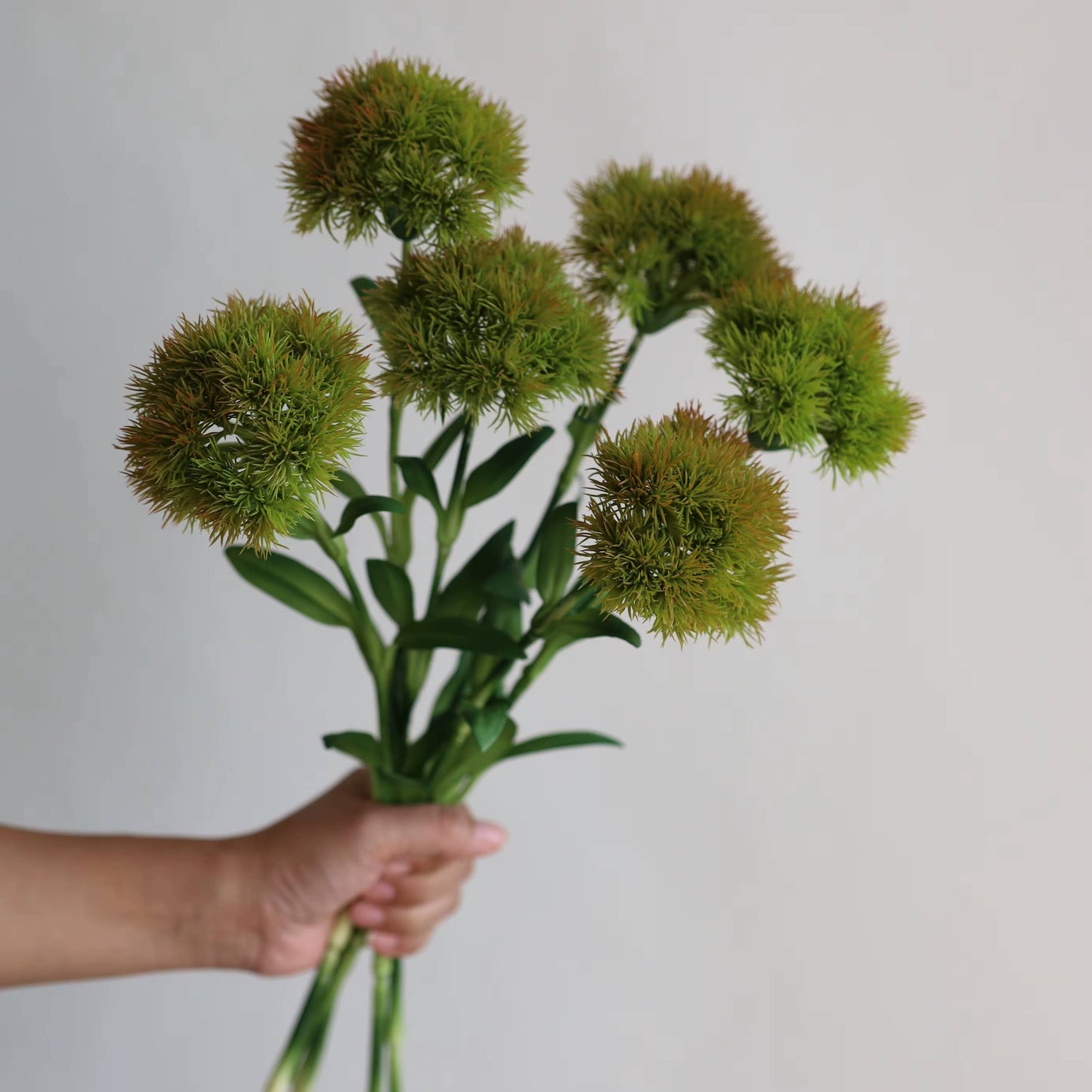 21.5 " Dianthus Stem