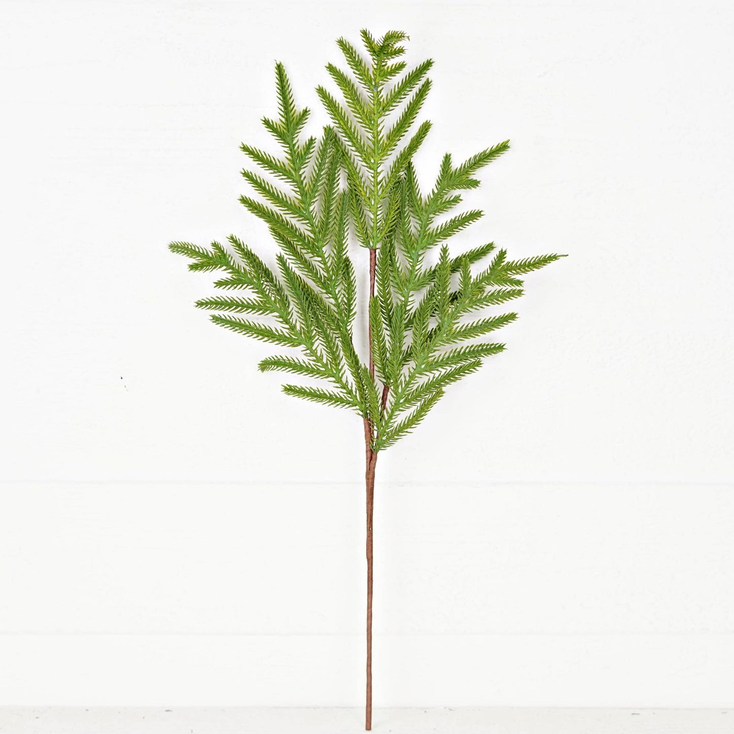 25" Soft Touch Norfolk Pine Stem