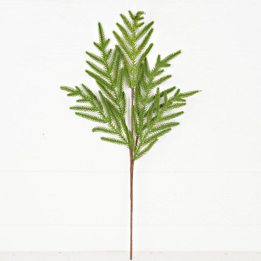 25" Soft Touch Norfolk Pine Stem