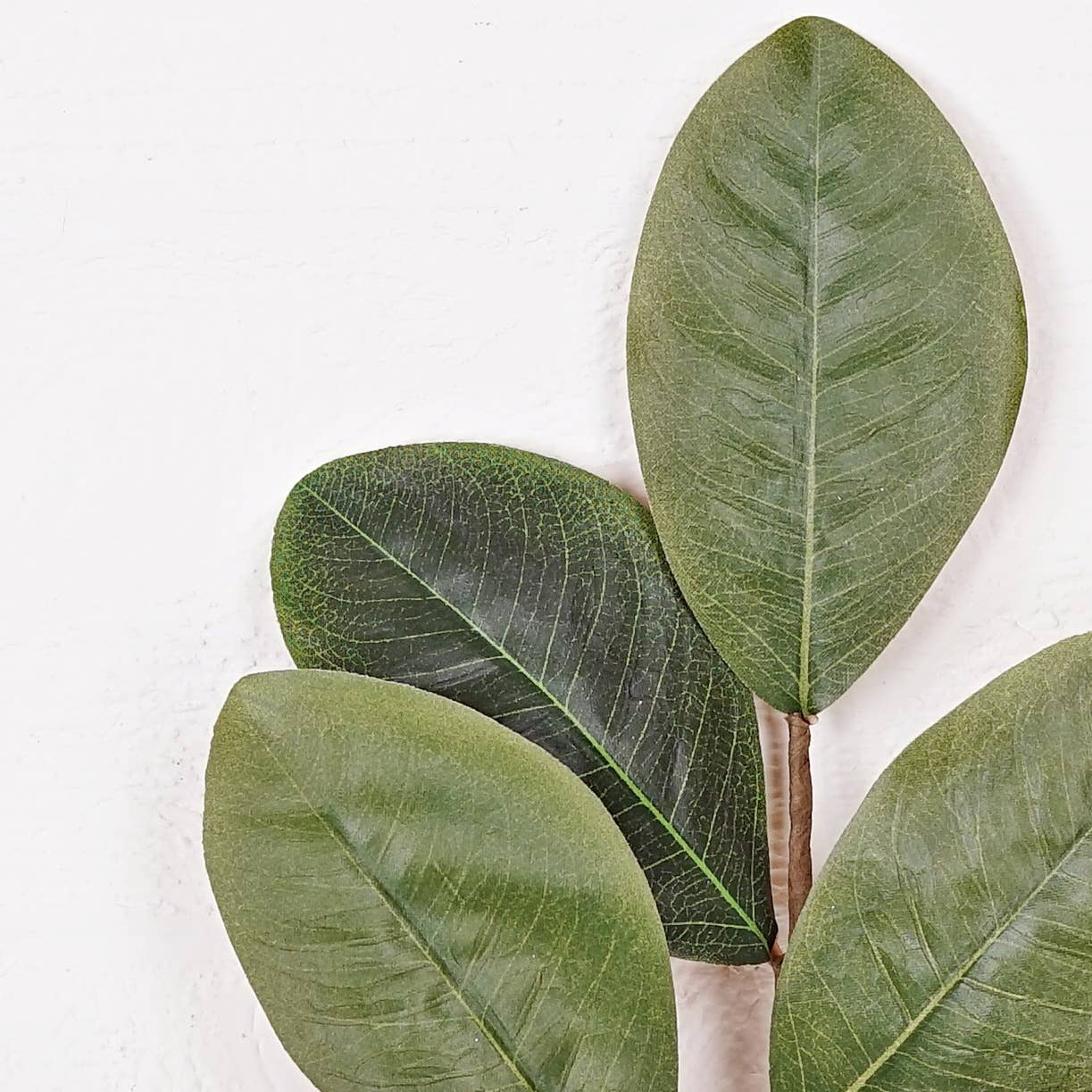 Sweetbay Magnolia Leaves Pick
