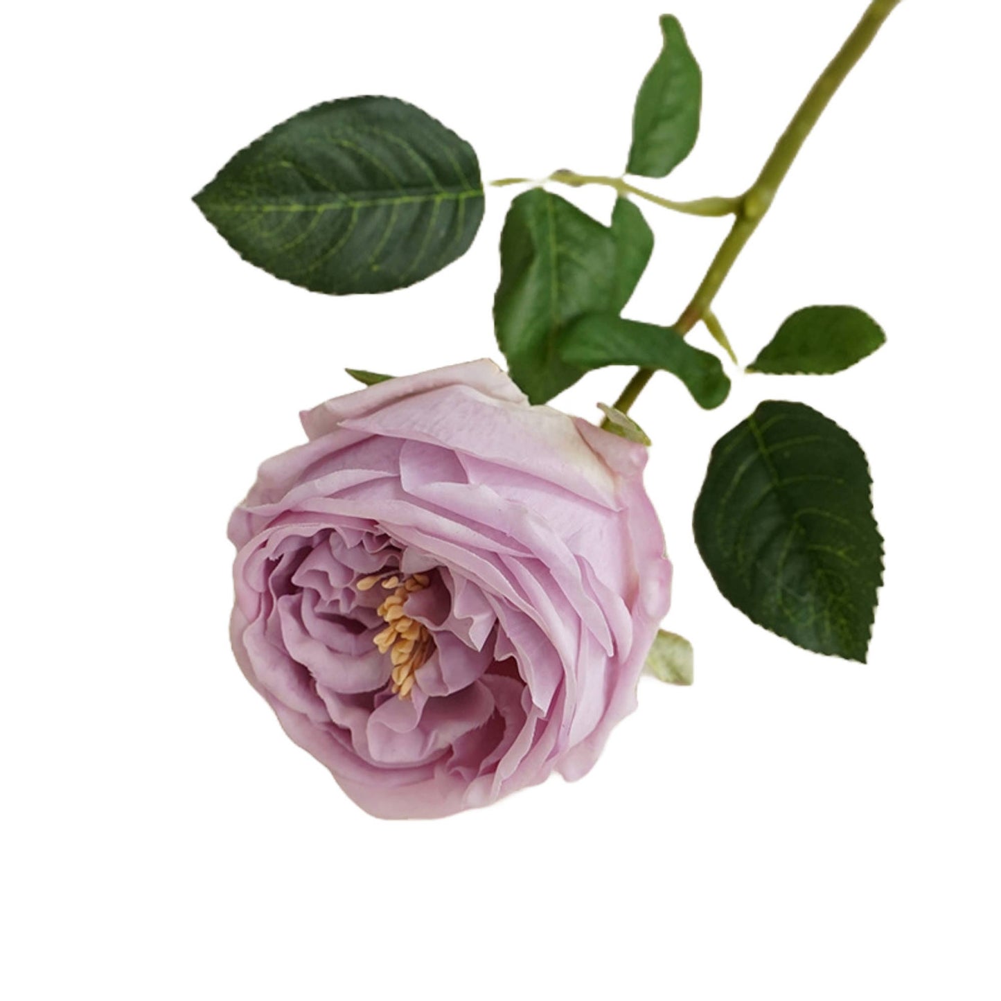 17" Real Touch English Austin Cabbage Rose: White