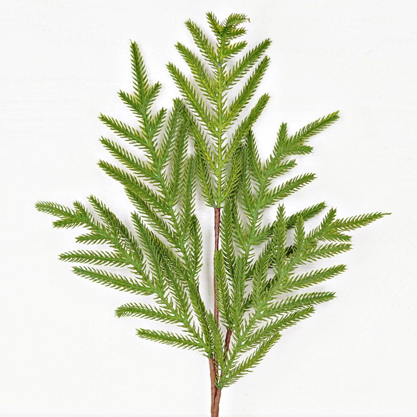25" Soft Touch Norfolk Pine Stem