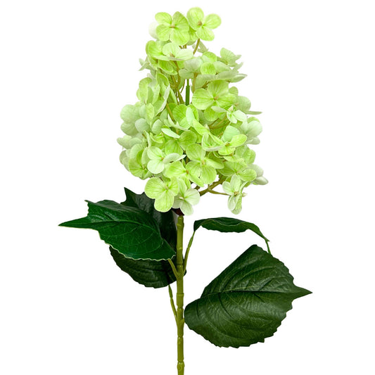 29" Cone Hydrangea Stem - Green