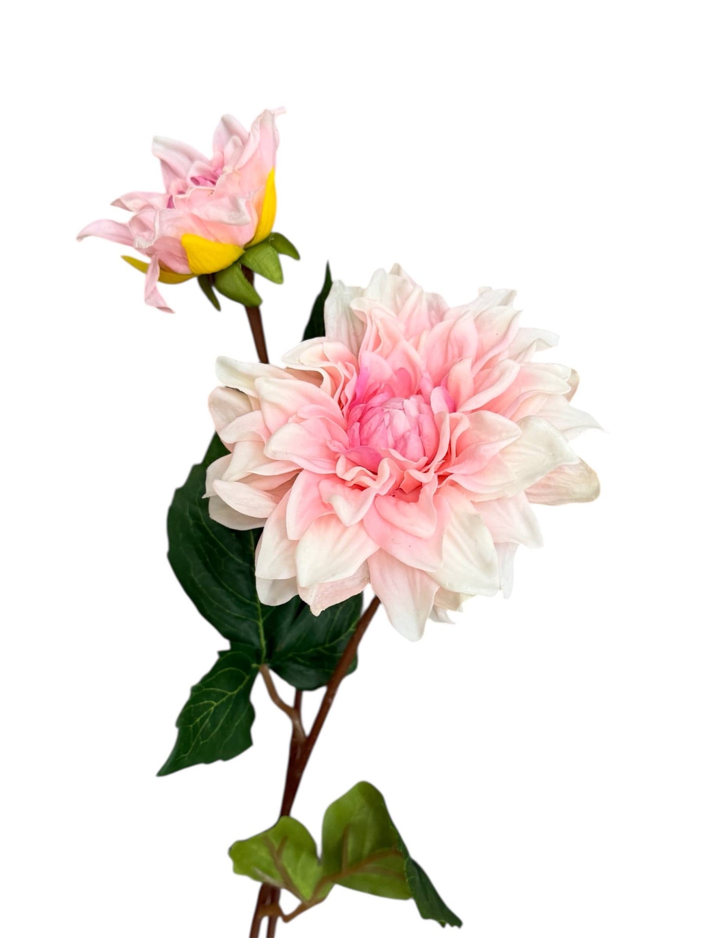 24" Real Touch Dahlia