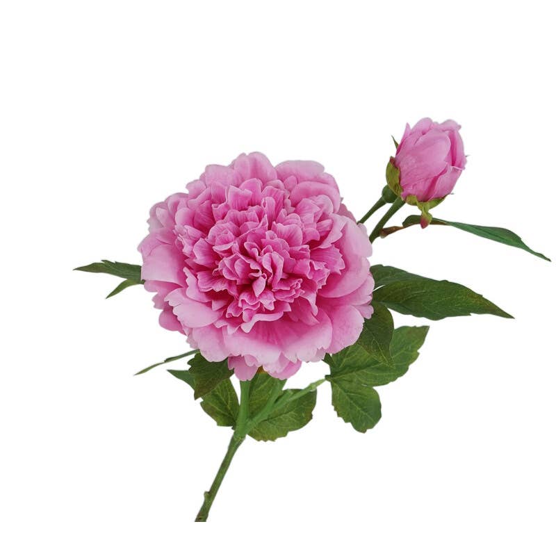 25.5" Real Touch Peony Stem