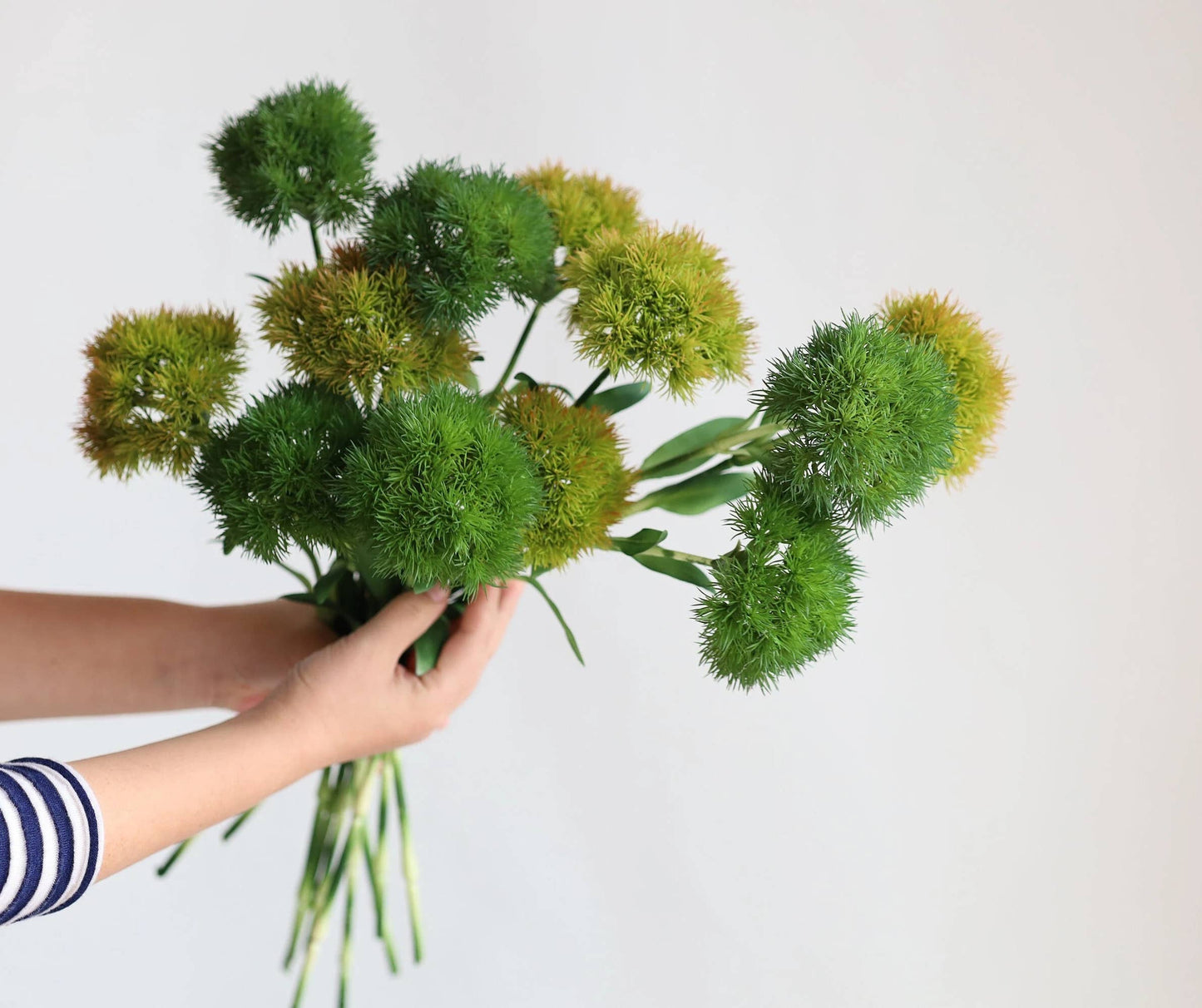 21.5 " Dianthus Stem
