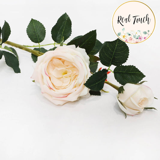 Real Touch Cabbage Rose: Soft Cream Pink