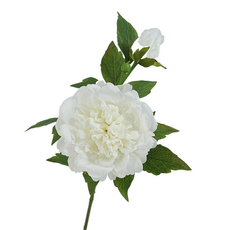 25.5" Real Touch Peony Stem