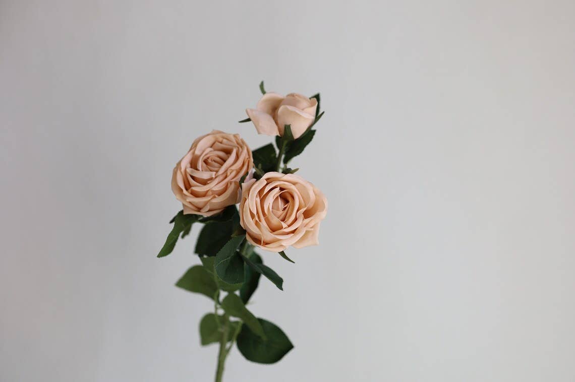 Real Touch Cabbage Roses: Dark Mocha