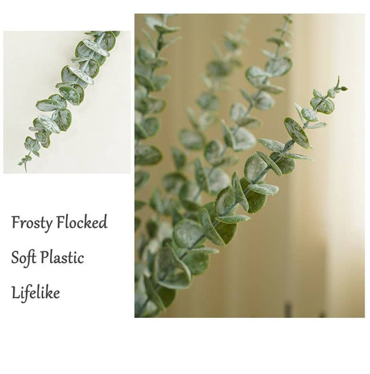 Grey Green Eucalyptus Stem