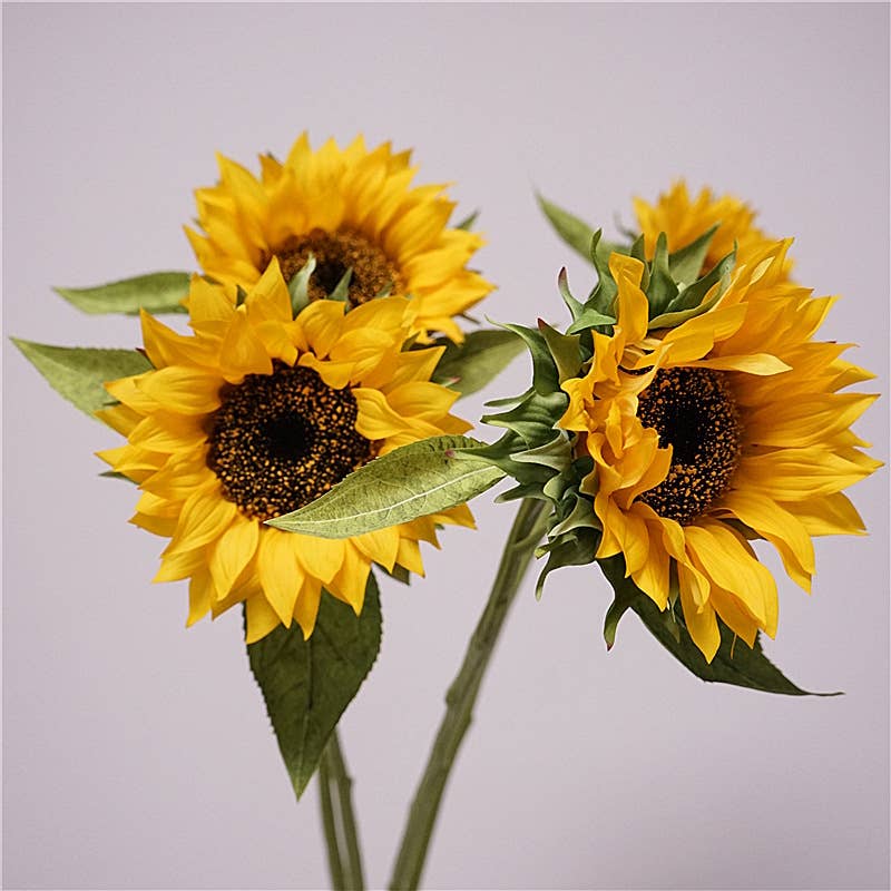 27.5" Lux Touch Sunflower