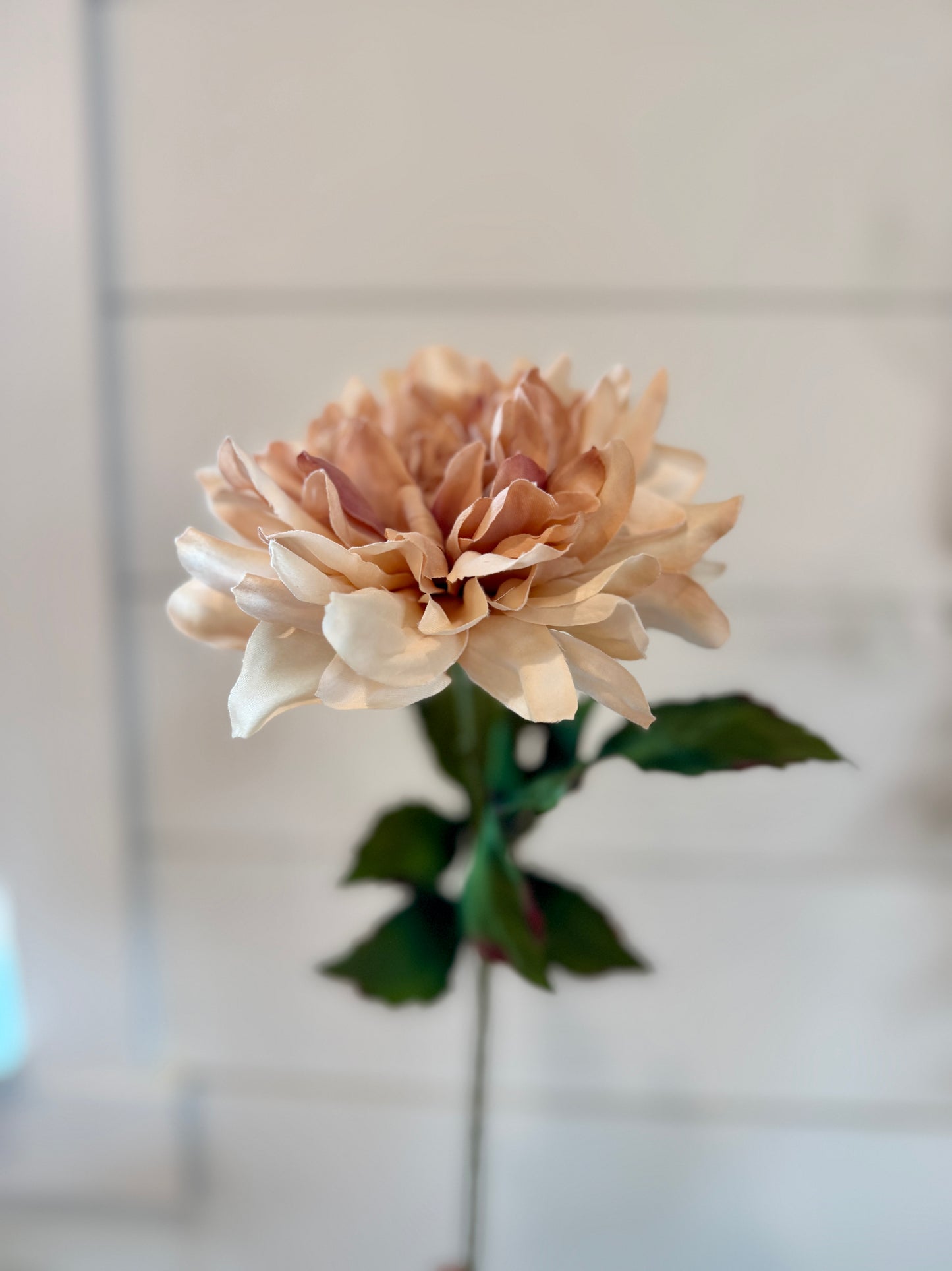 28" Dahlia Stem - Blush