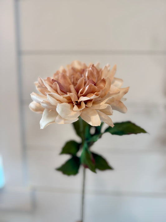 28" Dahlia Stem - Blush