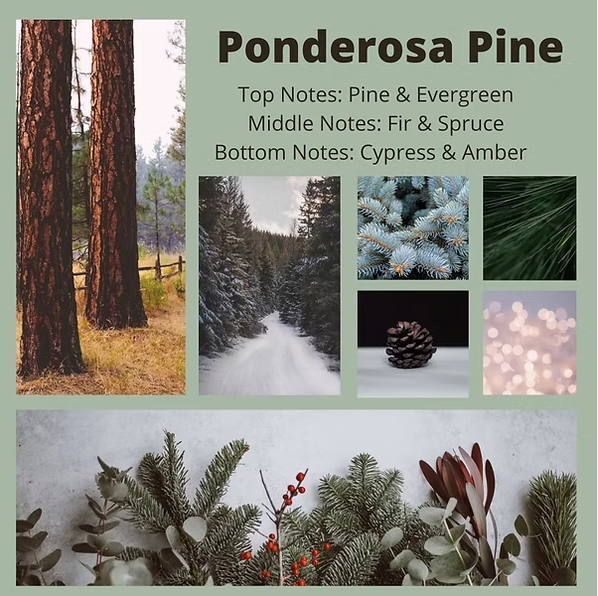 Montana Wooden Dough Bowl Candle: Ponderosa Pine