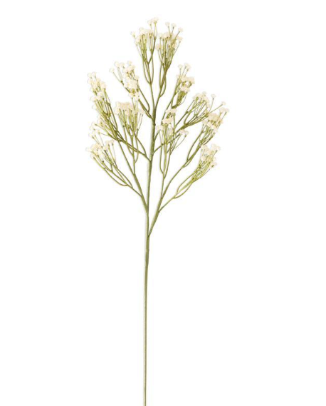25" Baby's Breath Spray - Cream