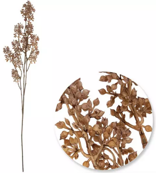 Taupe Seed Berry Spray