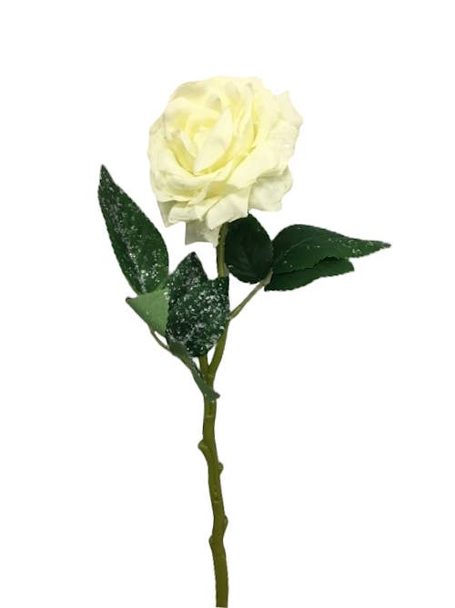 Artificial Snowy Rose: Cream Ivory