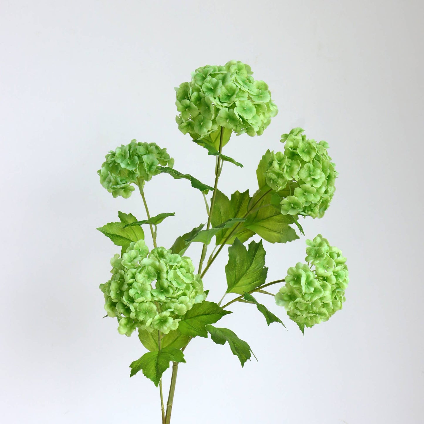 Premium Snowball Hydrangea Stem - Pale Green