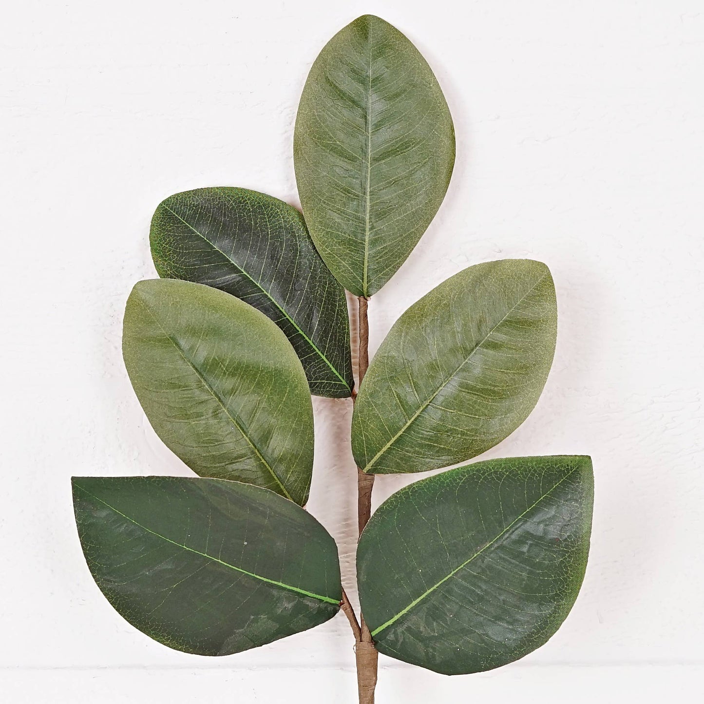 Sweetbay Magnolia Leaves Pick