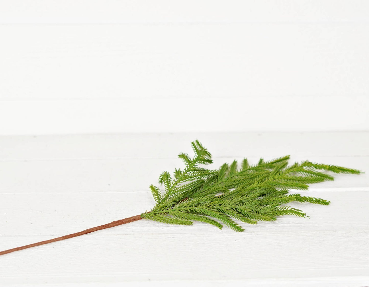 25" Soft Touch Norfolk Pine Stem