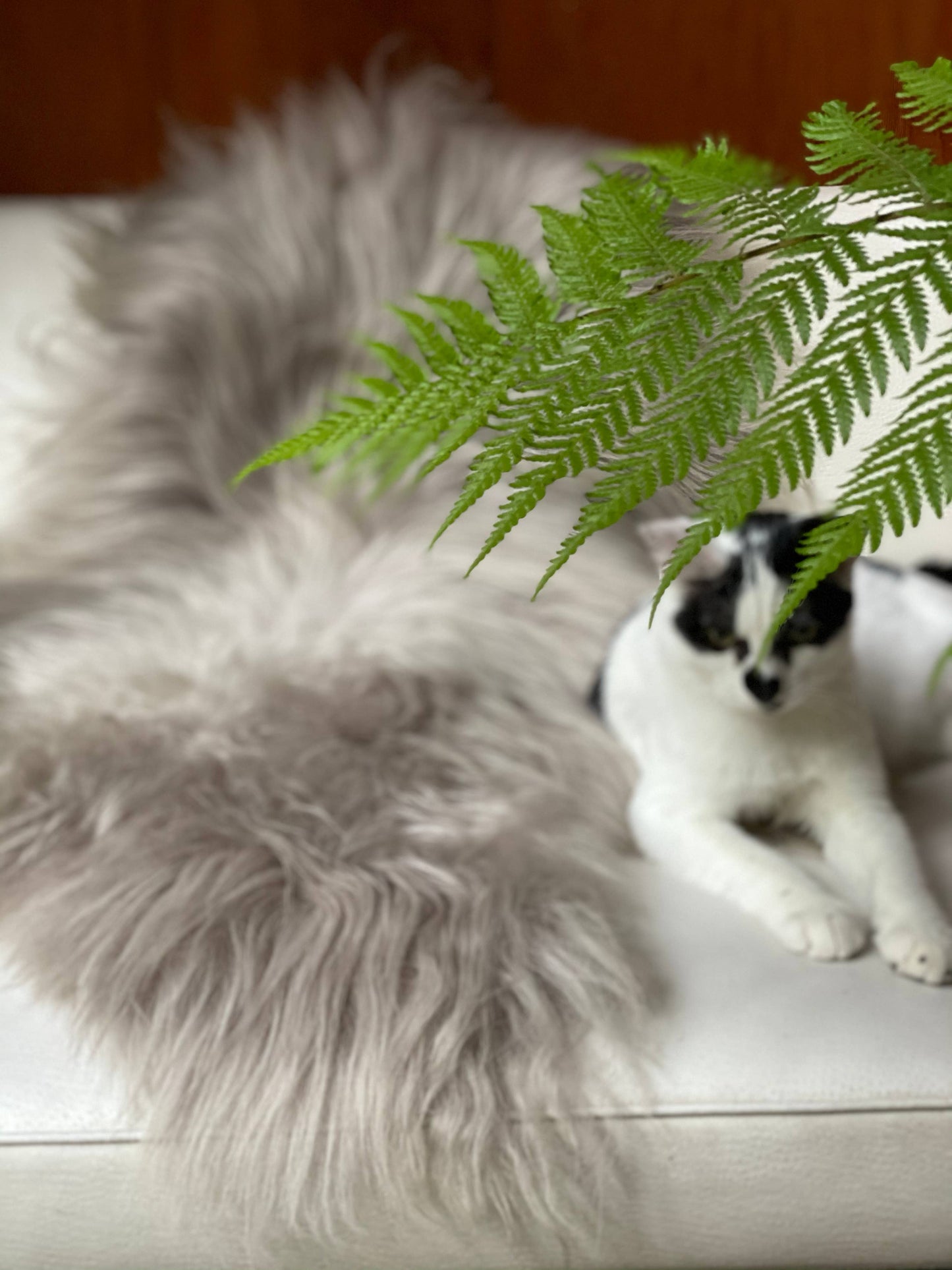 Asher Icelandic Sheepskin: Large