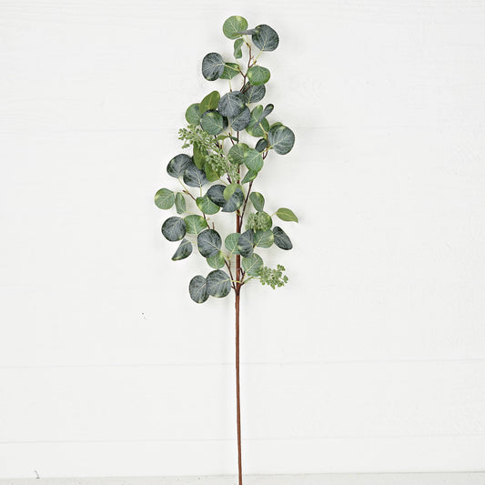 32" Silver Dollar Branch w/ seeds