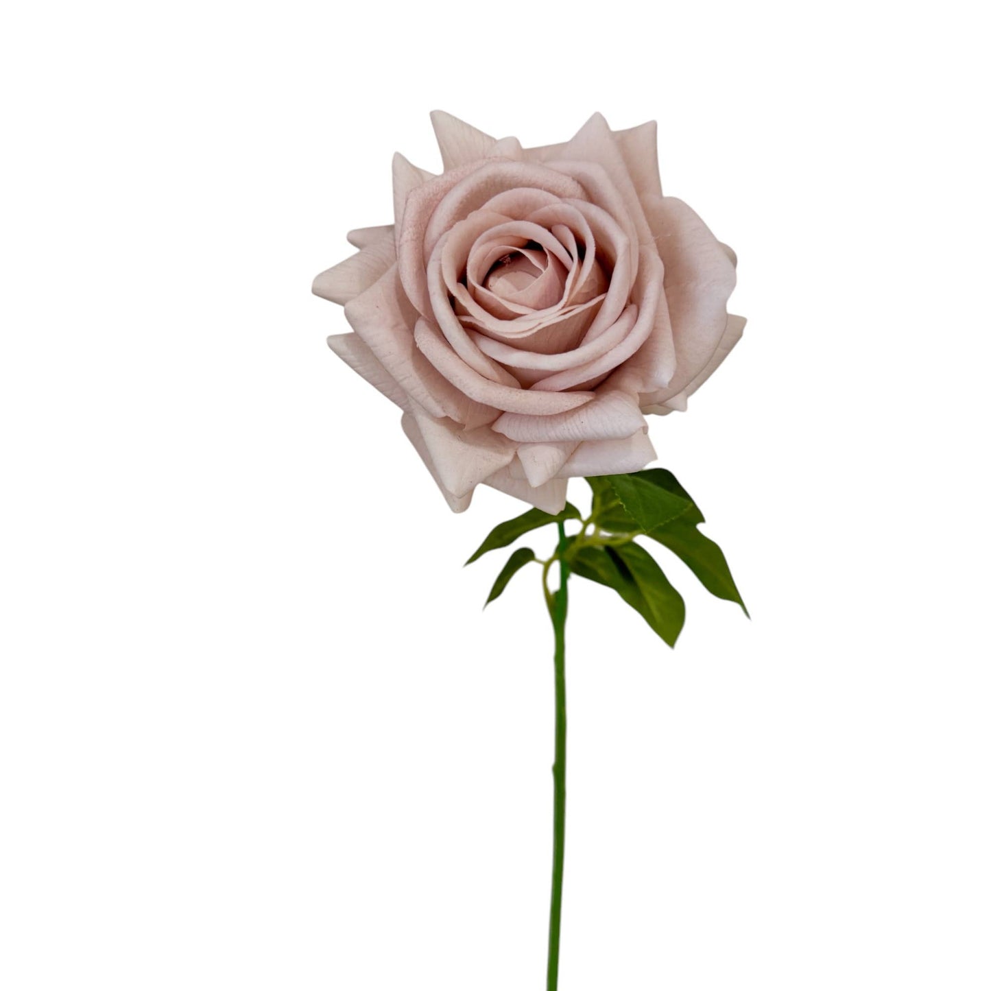 26" Real Touch Rose-blush/taupe