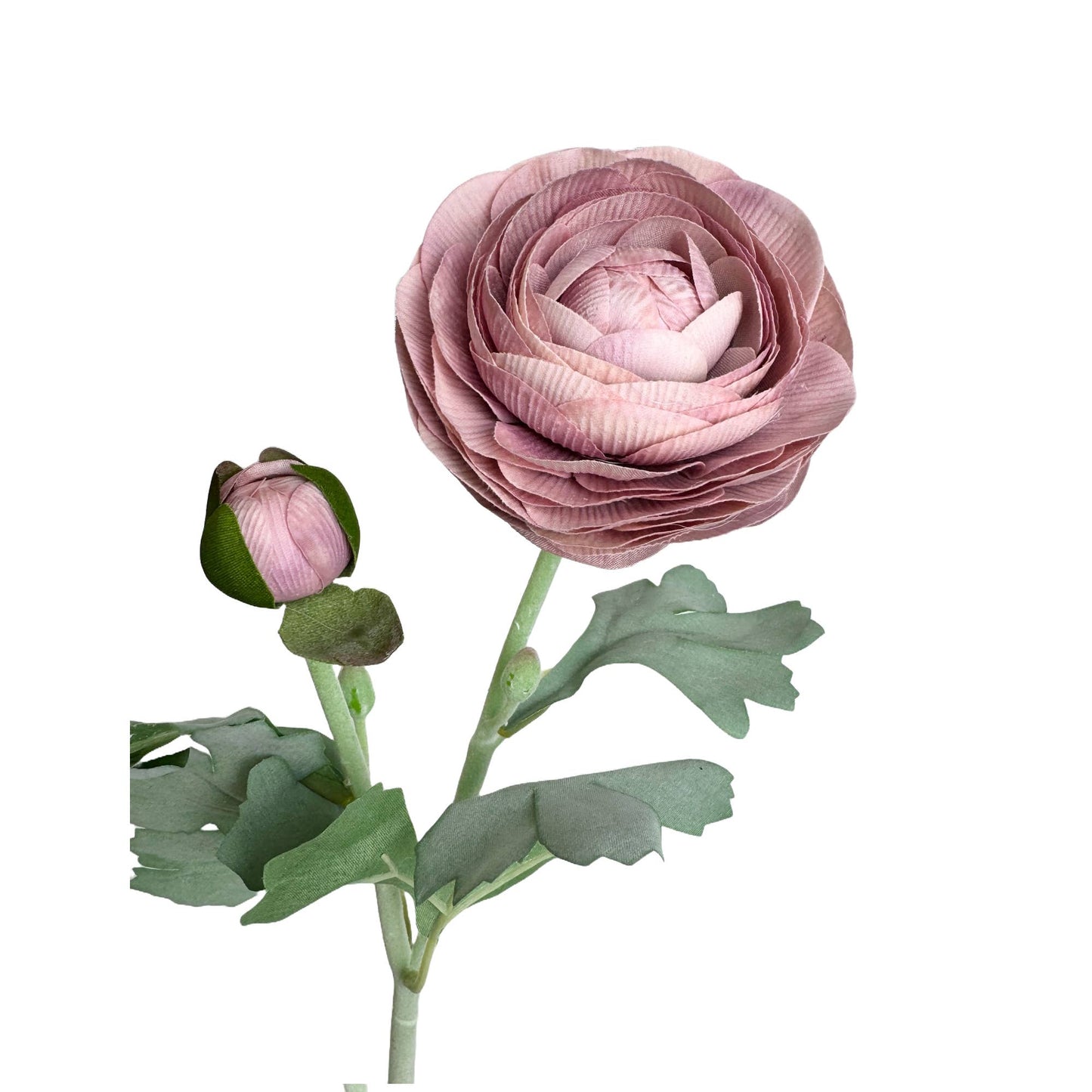 19"-Real Touch Ranunculus : Mauve