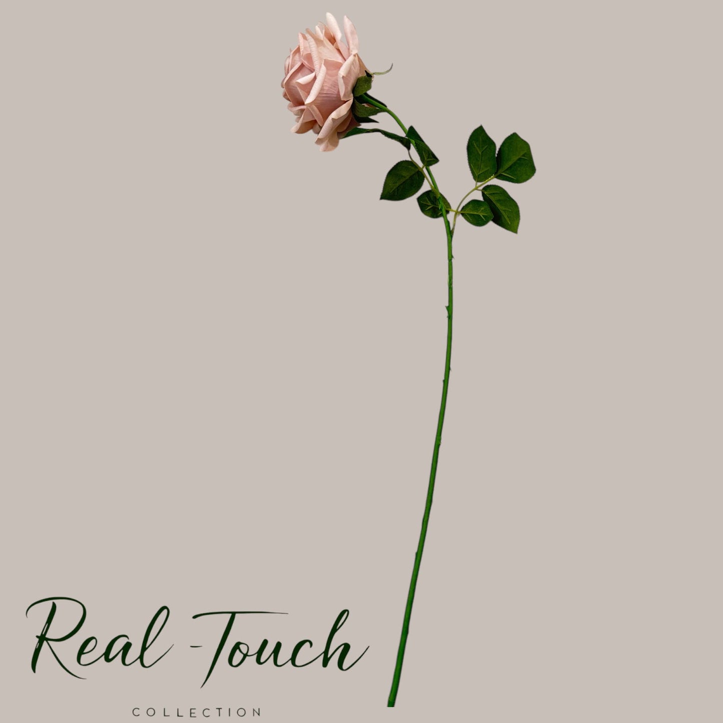 26" Real Touch Rose-blush/taupe