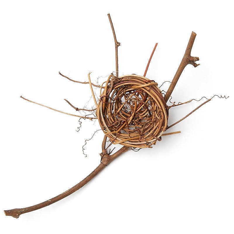Natural Grapevine Bird's Nest Branch