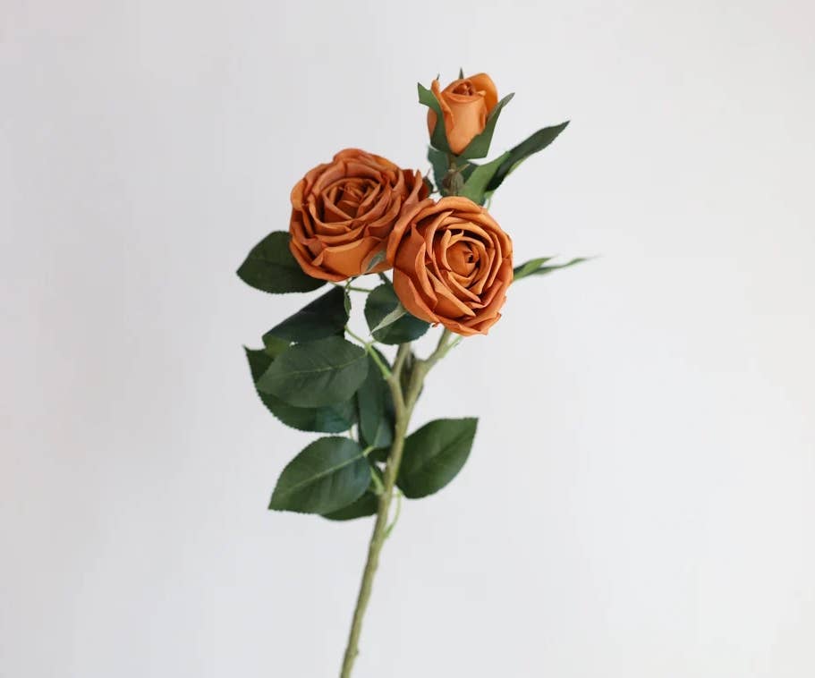 Real Touch Cabbage Roses: Dark Mocha