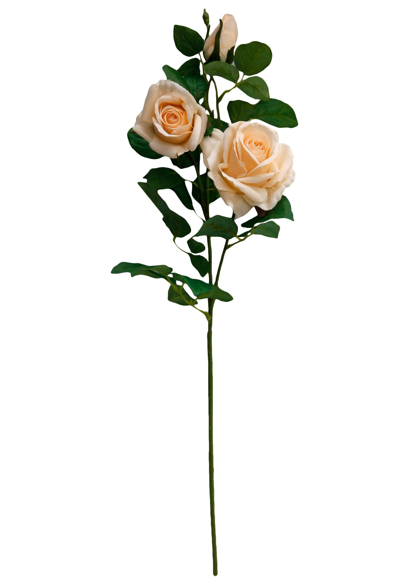27" Real Touch Roses & Bud - Mocha